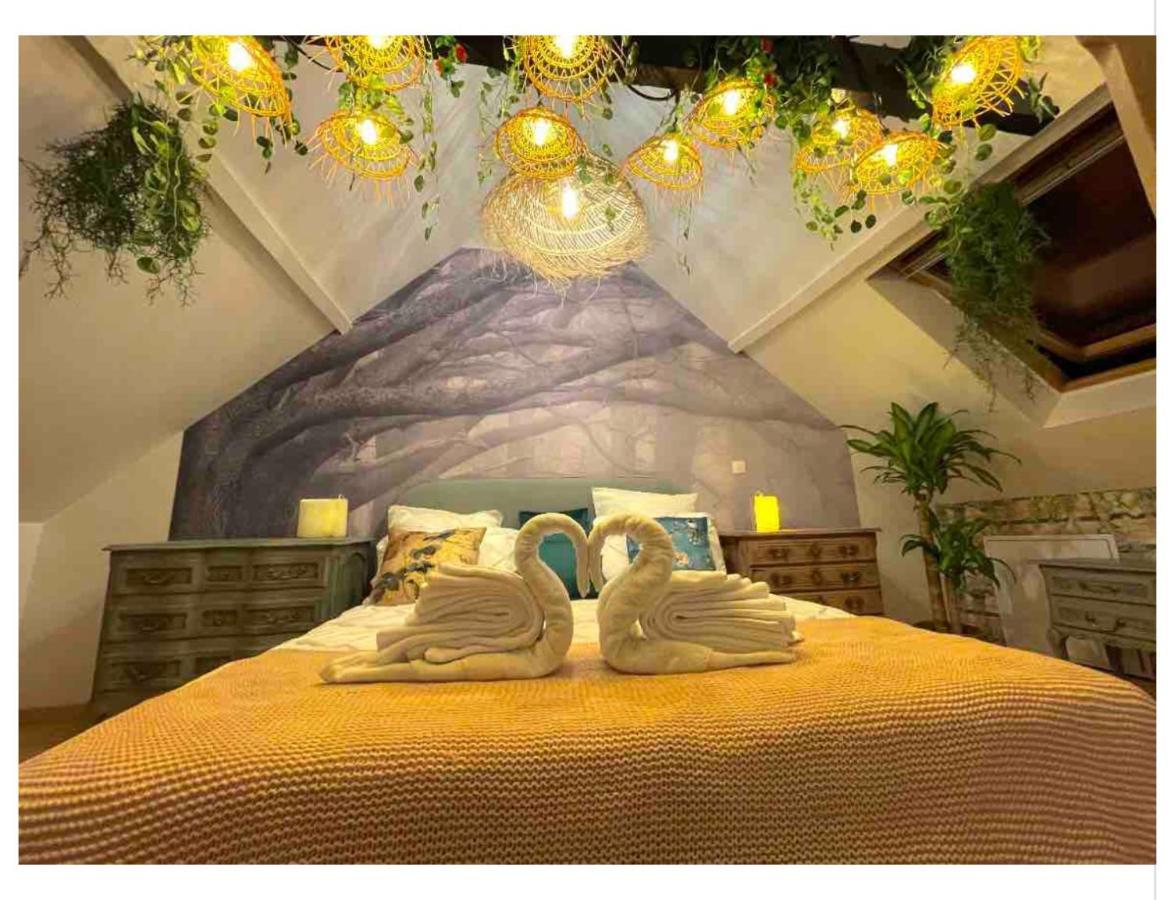 Casa Inca Calais - Duplex Soleil Latino - Parking Free, Station Apartment Bagian luar foto